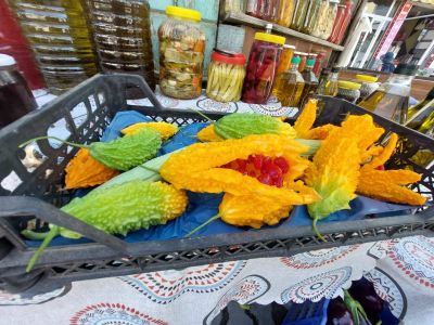 Кръжок "Обичай родния край" 8